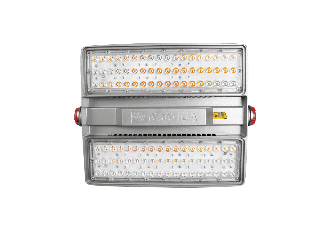 LED Flood Light