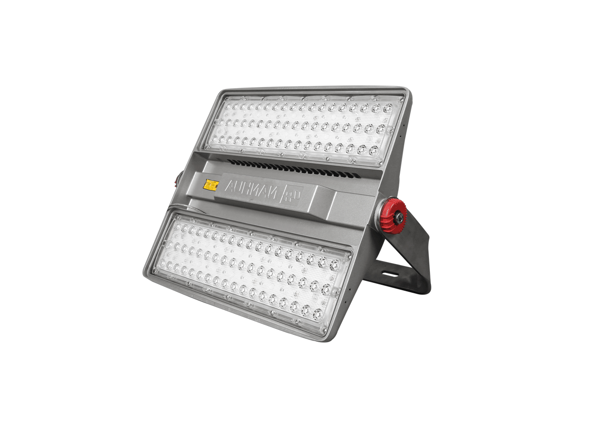 LED Flood Light