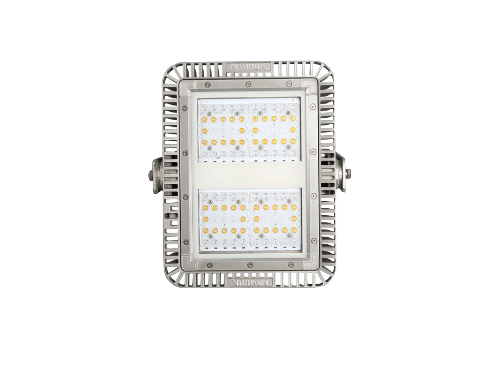 LED Flood Light