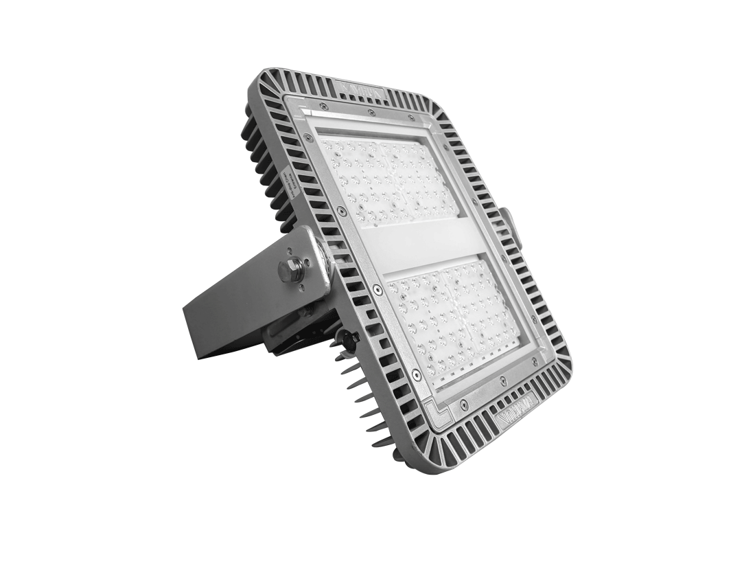 LED Flood Light